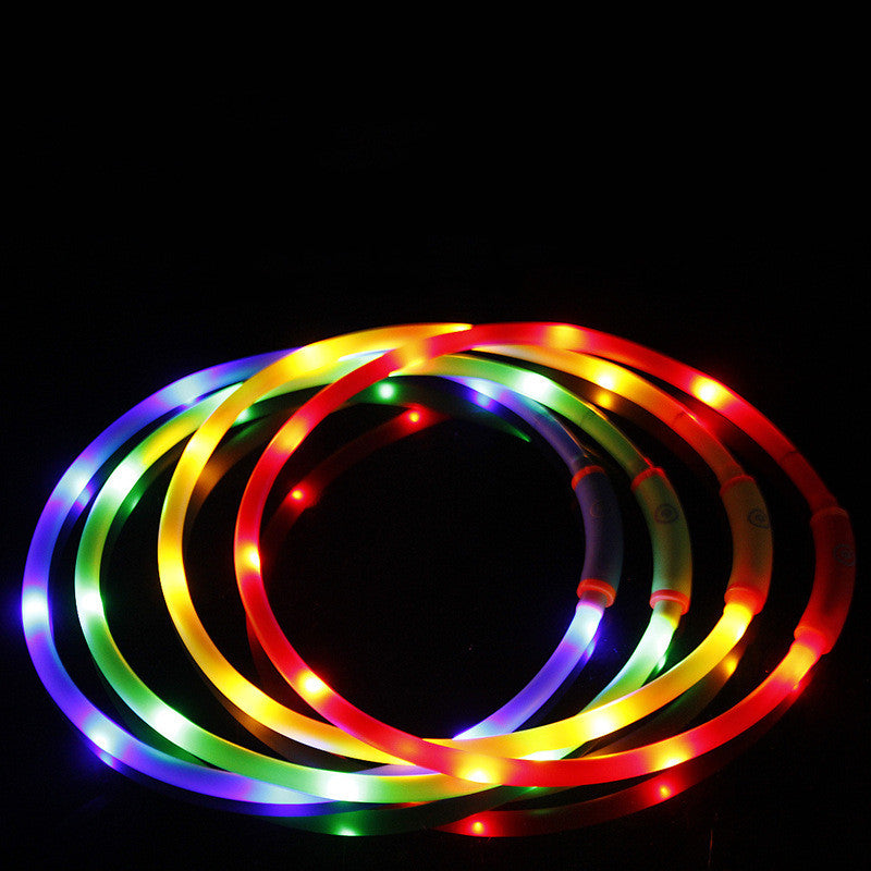 Luminous Rechargeable Collar