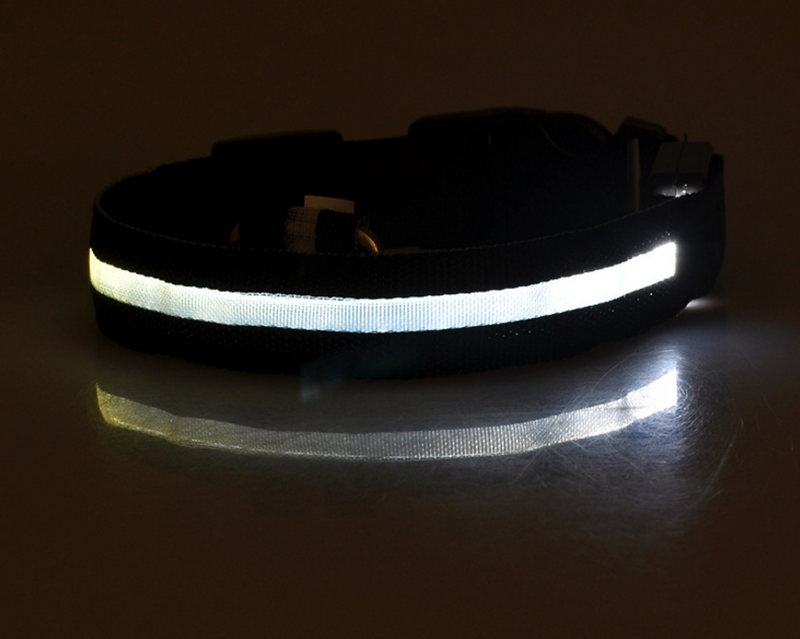 LED Luminous Collar