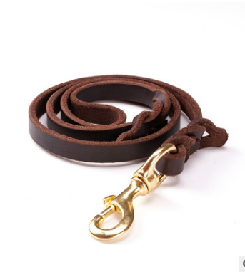 Leather-dog -leash.jpg
