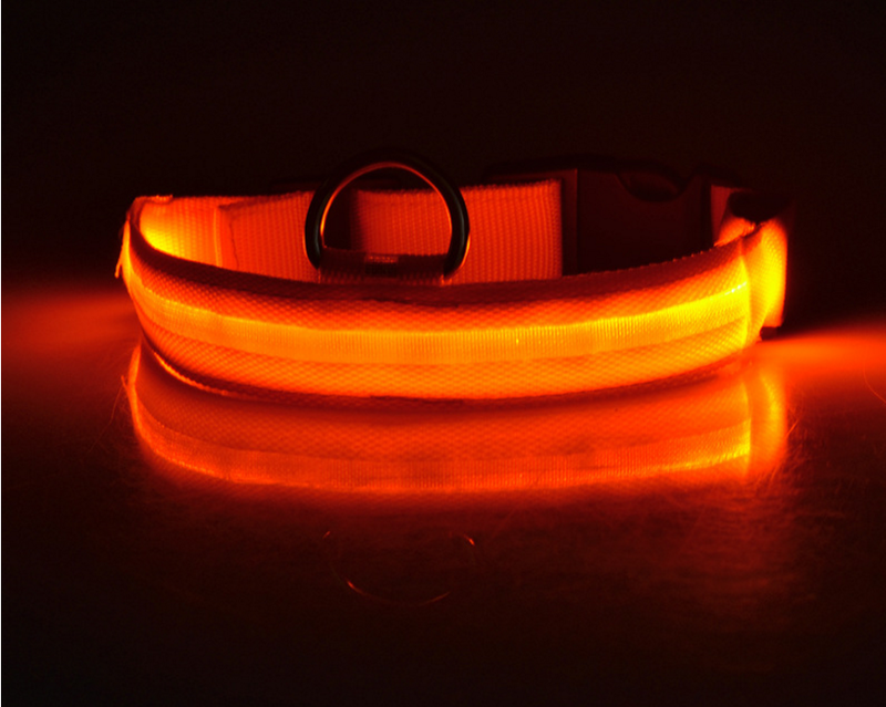 LED Luminous Collar