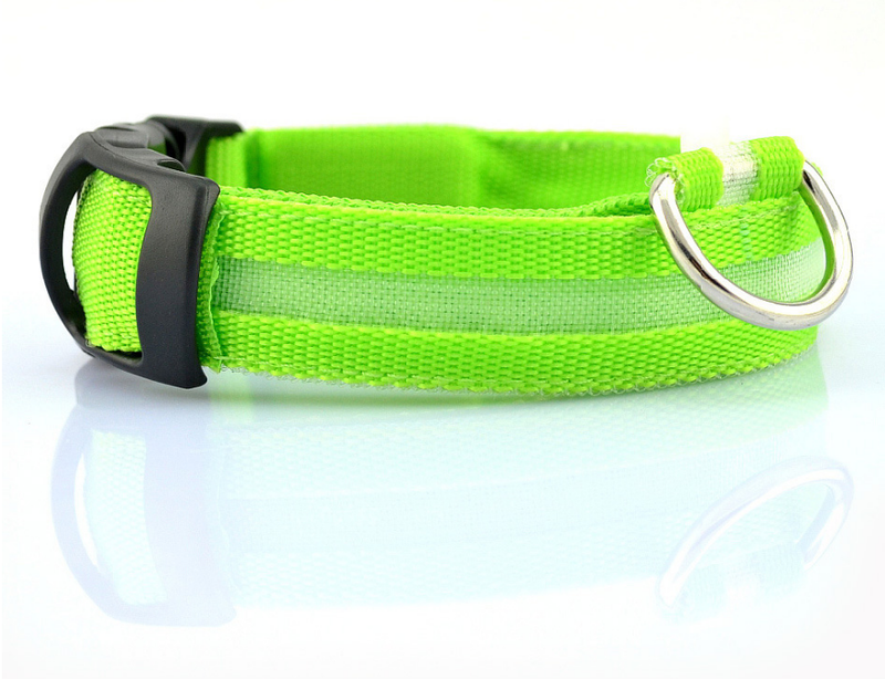 LED Luminous Collar