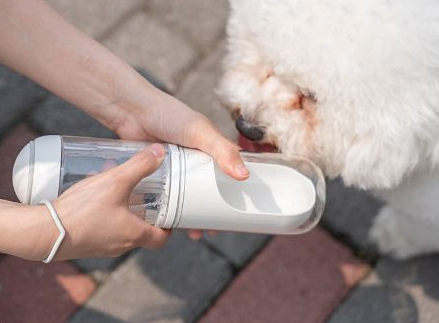 Filtered Travel Water Bottle