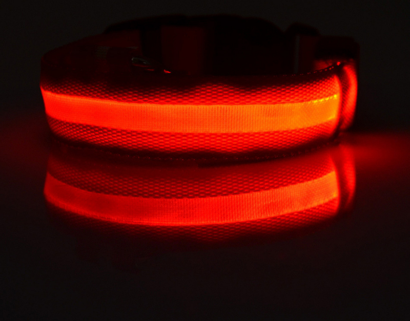 LED Luminous Collar