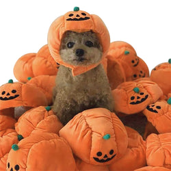 Pet Halloween Pumpkin Hat