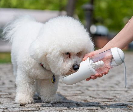 Filtered Travel Water Bottle