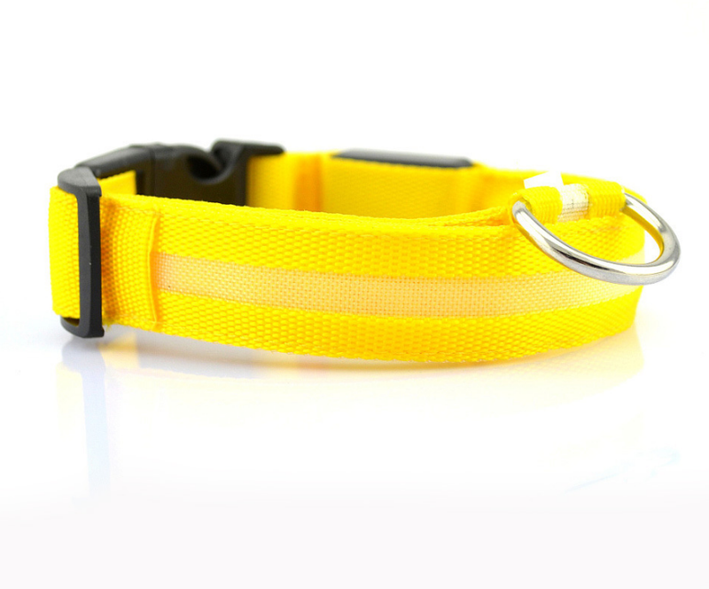 LED Luminous Collar