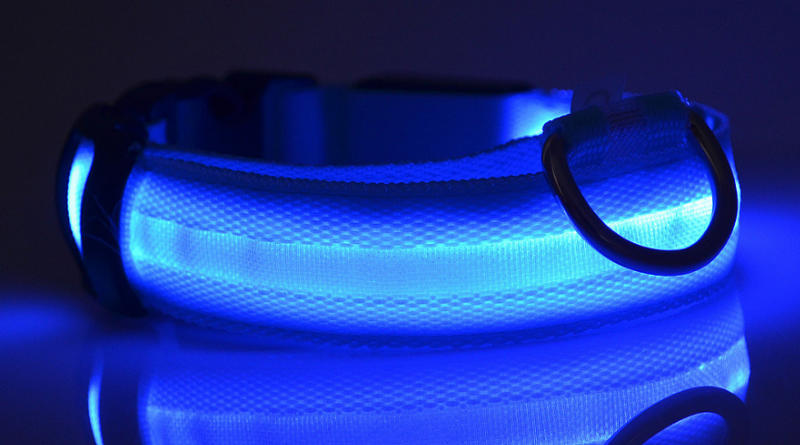 LED Luminous Collar